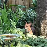 Terry Witte - @dtlwitte - Instagram
