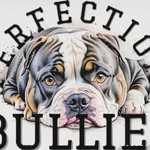Terry_Woodson - @perfectionbullykennels - Instagram