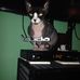 Terry Woolley - Facebook