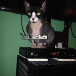 Terry Woolley - @terw.967 - Instagram
