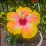 Terri Deller Wooster - @terri_wooster - Instagram