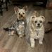 Terry Worden - Facebook