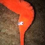 Terry - @terry_the_worm - Instagram