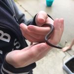 Terry Worm Sundburg-Fetterman - @terrythesnake - Instagram