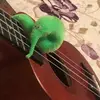 TerryTheWorm - @lifeisodd69 - TikTok