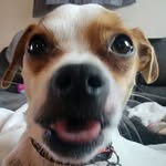 Terry Wulf - @2terrywulf - Instagram