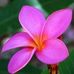 Terry Wulf - Facebook