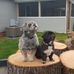 Teresa Foutz Wymer - Facebook