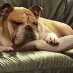Terry Wynne - @wynne.terry - Instagram