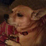 terry yoder - @terryyoder - Instagram