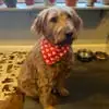 Terry Cahill Yost - @terry.cahill.yost - TikTok