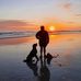 Terry Youngman - Facebook