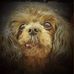 Terry Zerr - Facebook