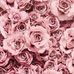 Teshia Thomas - Facebook