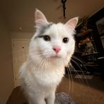 Tesia Grace Davis - @_tezia - Instagram