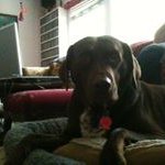 Tesla Miller - @millertesla - Instagram