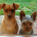 Tess Ackerman - Facebook