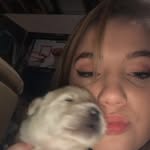 Tessa Ackerman - @tessa_faye_spam - Instagram