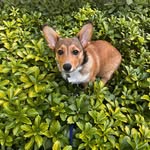 Teresa Allison - @tessallison14 - Instagram