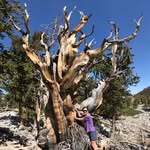 Tess Andersen - @howlingatthemoon131 - Instagram