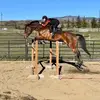 Tessa Archerd - @tessaarcherd - TikTok