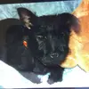 Tess - @tess.sayers - TikTok