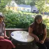 tess barber - @tess.barber - TikTok