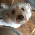 Tess Barker - @tessybear_ - Instagram