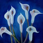 Tess Beasley - Facebook