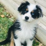 Tess - @tess_berger_australien - Instagram