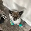 Tess Bishop - @tess.bishop - TikTok