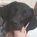 Tessa Boyd - Facebook
