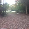 Tessa Boyer - @tessa.boyer5 - TikTok