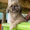TessChavez - @tessia0528 - TikTok