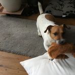 Tess Cook - Facebook
