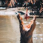 Photos + Work & Life - @tess.cox.photos - Instagram