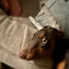 Tessi_Davidson - @tessi_davidson - TikTok