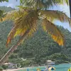 Tess Davis - @saltybeach71 - TikTok
