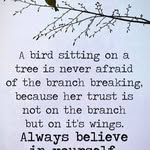 Tess Dutton - @tess.dutton.75 - Instagram
