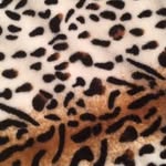 Tessa Dutton-Queripel - @tessadq_photography - Instagram