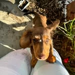 Tess Dyer - @tessie.gilroy - Instagram