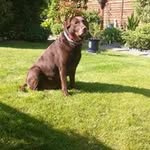 Sue Hillier - @tessedgerhillier - Instagram