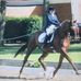 Teresa Edmonds - Facebook