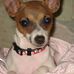 Teresa Elshoff - Facebook