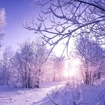 Tess Farmer - Facebook