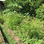 Tess the Farmer - @shoptessthefarmer - Instagram