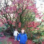 Tess Fitzpatrick - Facebook