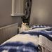 Tess Fox - Facebook