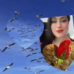 Gunes Tas - Facebook