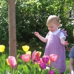 Tessa Goldman - Facebook